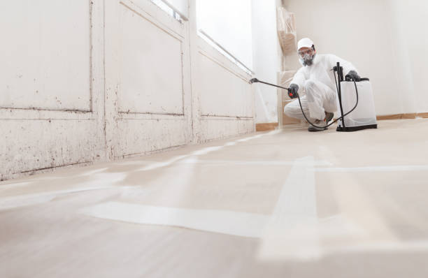 24/7 Emergency Commercial Mold Remediation experts in Riverdale, IL
